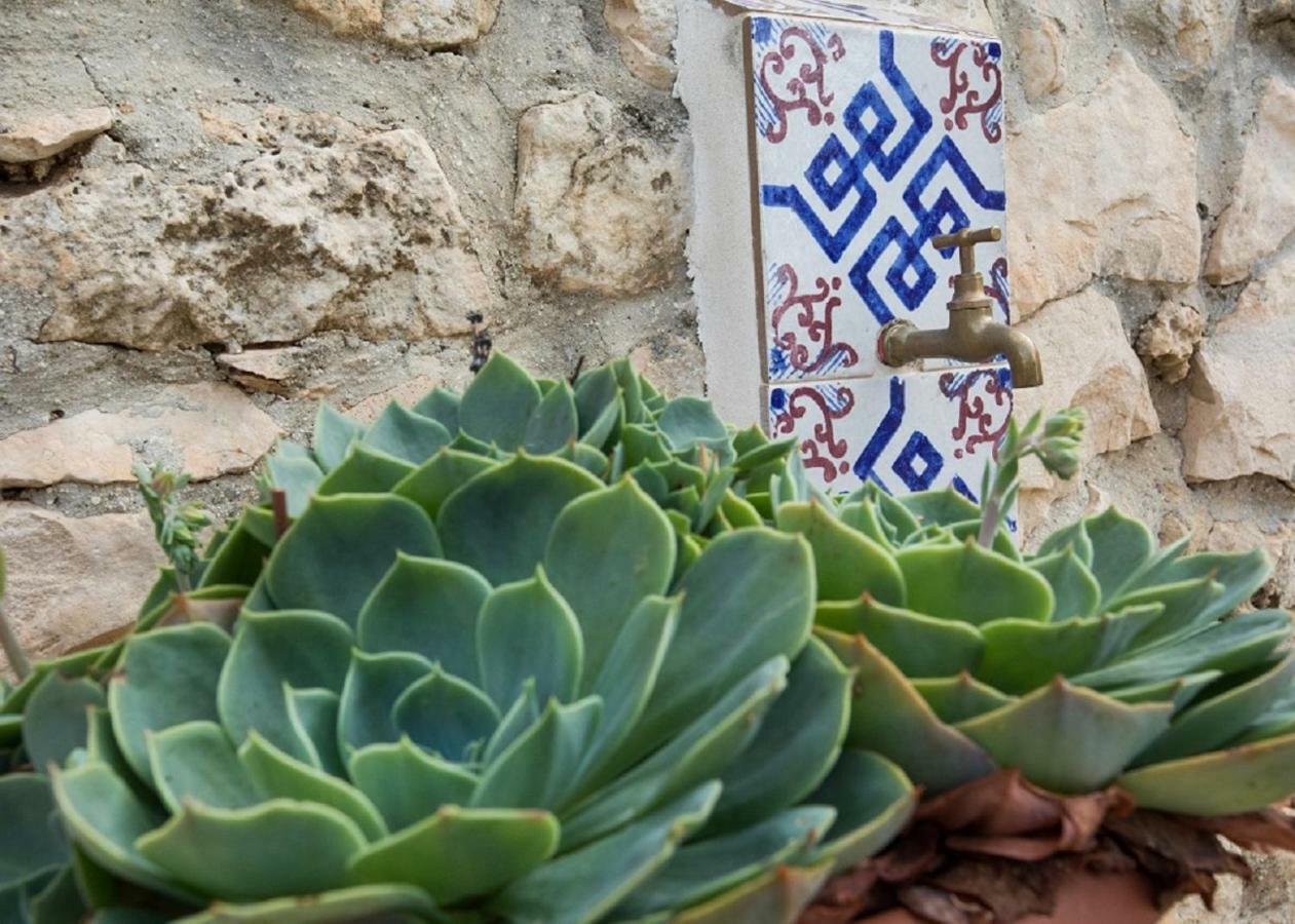 Agriturismo Villa Flavia 카사 세라피오리 외부 사진